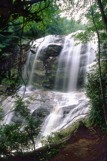 Waterfall Through Trees